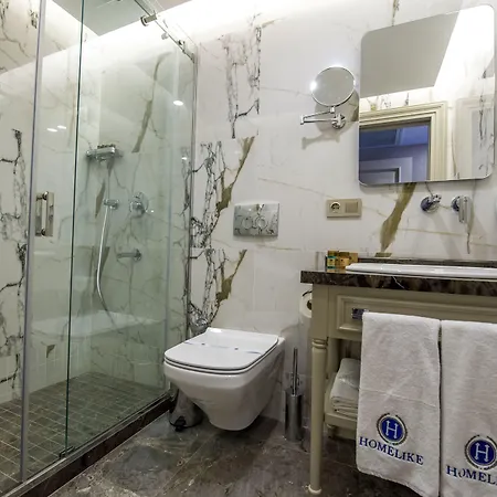 Hotel Homelike 3*